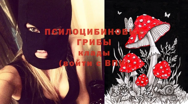 мяу мяу кристалл Алексин